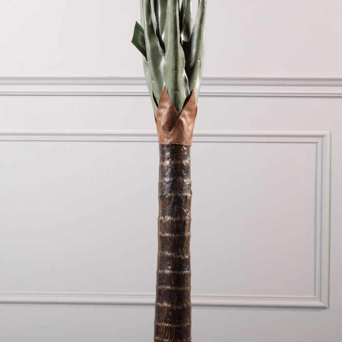 Supergreens Texnito Dentro Alokasia 150cm 4760-6