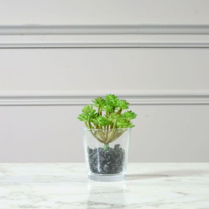 Supergreens Texnito Futo Paxufuto 16cm 2570-6