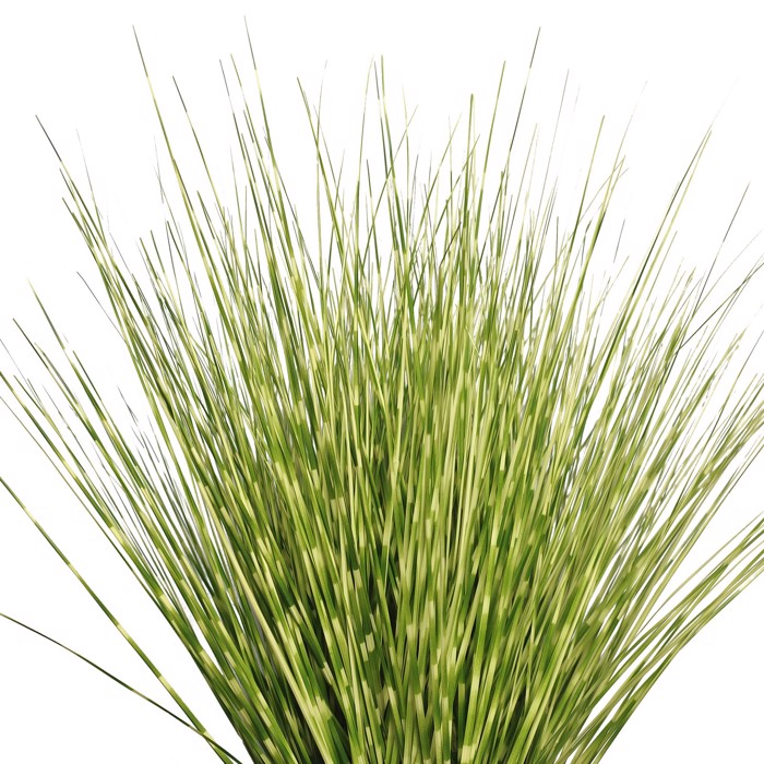 Supergreens Texnito Futo Gynerio ''Reed'' Prasino 70cm 6490-6
