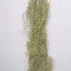 Supergreens Texniti Kremasti Tilansia Prasini Anoixti 83cm 6621-7