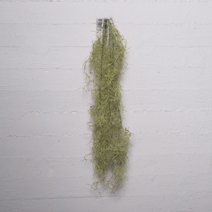 Supergreens Texniti Kremasti Tilansia Prasini Anoixti 83cm 6621-7