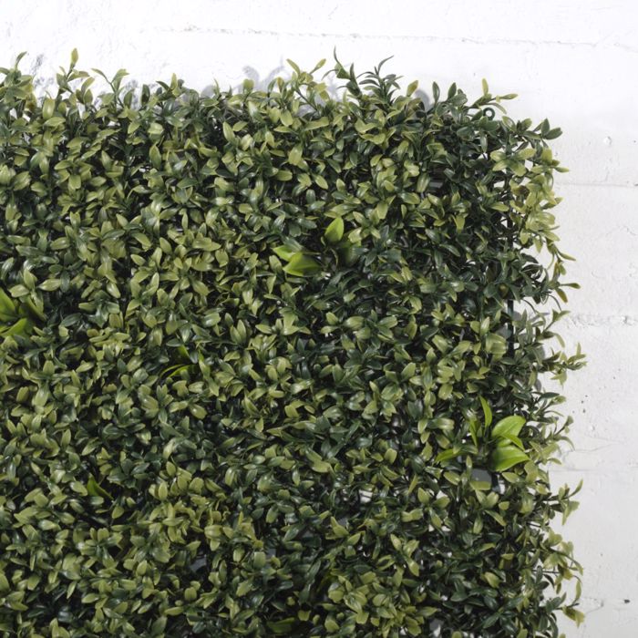 Supergreens Texniti Fullosia Rouskos 50x50cm 9921-7