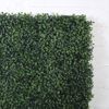 Supergreens Texniti Fullosia Trifulli 50x50cm 0031-7