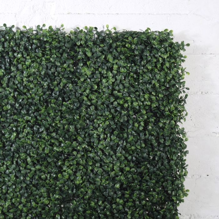 Supergreens Texniti Fullosia Trifulli 50x50cm 0031-7