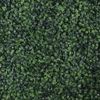 Supergreens Texniti Fullosia Trifulli 50x50cm 0031-7