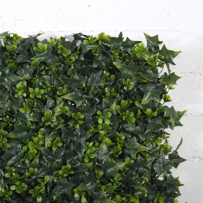 Supergreens Texniti Fullosia Kissos me Trifulli 50x50cm 3031-7