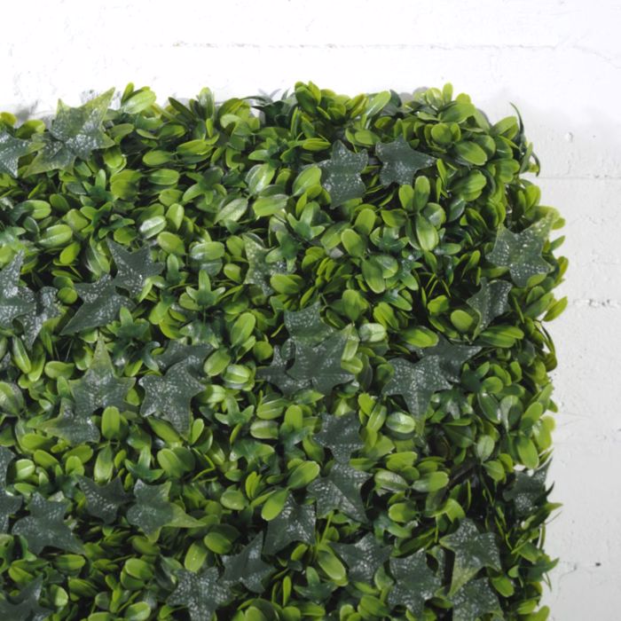 Supergreens Texniti Fullosia Kissos me Fiko 50x50cm 6031-7