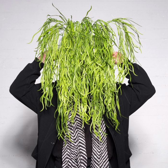 Supergreens Τεχνητό Κρεμαστό Χορτάρι 91cm 3431-7 Supergreens Texnito Kremasto Xortari 91cm 3431-7
