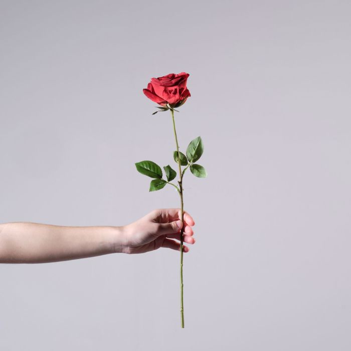 Supergreens Texnito Klonari Triantafullo Kokkino 47cm 4531-7