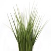 Supergreens Texnito Futo Stipa Demati Prasino 60cm 7490-6