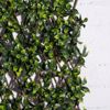 Supergreens Texniti Ptussomeni Fullosia Seflera Arboricola 100x200cm 9351-7