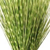 Supergreens Texnito Futo Stipa ''Zebra'' Prasino 170cm 9390-6