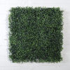 Supergreens Texniti Fullosia Trifulli 50x50cm 0031-7