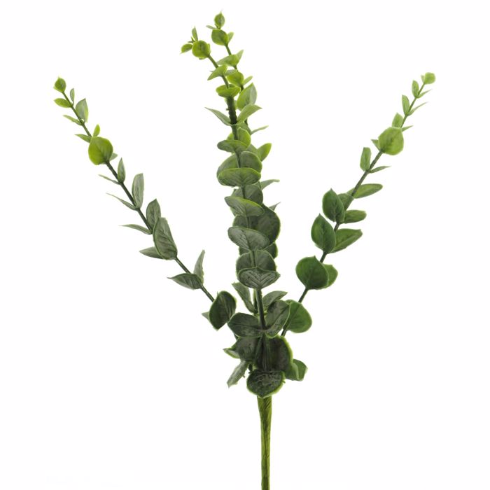 Supergreens Texnito Fullo Efkaluptos 36cm 0641-7