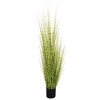 Supergreens Texnito Futo Stipa ''Zebra'' Prasino 120cm 1490-6