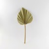Supergreens Texnito Fullo Foinikas ''Serenoa'' Fusiko 25x25x60 ek. 2081-7