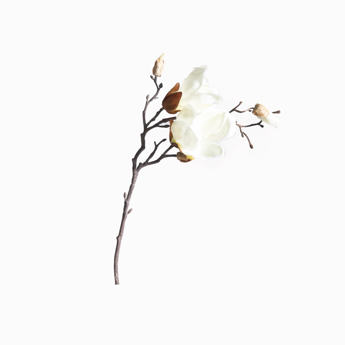 Supergreens Τεχνητό Κλωνάρι Μανόλια ''Pistil'' Άσπρο 50cm 2280-7 Supergreens Texnito Klonari Manolia ''Pistil'' Aspro 50cm 2280-7