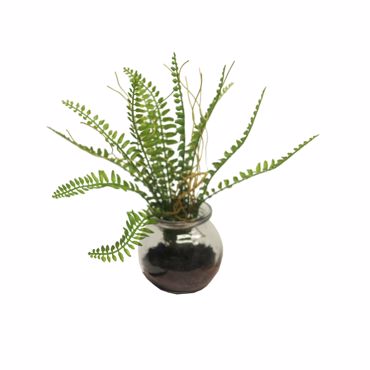 Supergreens Τεχνητό Φυτό Φτέρη 20cm 2750-6