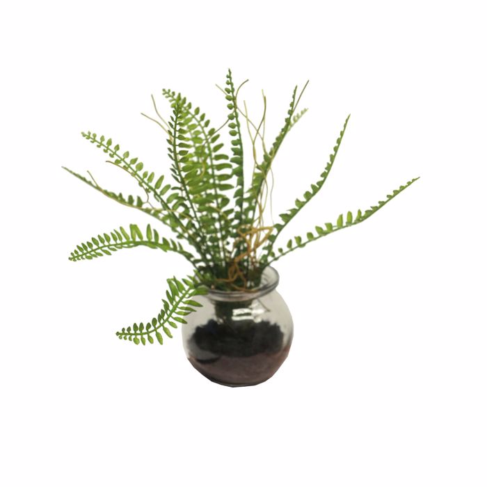 Supergreens Texnito Futo Fteri 20cm 2750-6