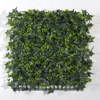 Supergreens Texniti Fullosia Kissos me Trifulli 50x50cm 3031-7