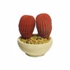 Supergreens Texnitos Kaktos Kokkinos 10cm 3301-7