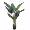 Supergreens Texnito Dentro Pouli tou Paradeisou Strelizia Nicolai 115cm 3550-6