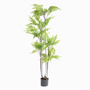 Supergreens Τεχνητό Δέντρο Φτέρη 160cm 3840-6