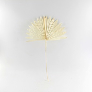 Supergreens Τεχνητό Φύλλο Φοίνικας ''Serenoa'' Λευκό 30x30x50 εκ. 4081-7