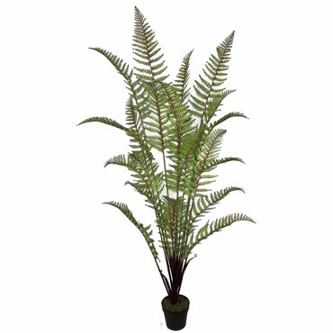 Supergreens Τεχνητό Δέντρο Φτέρη 180cm 4450-6