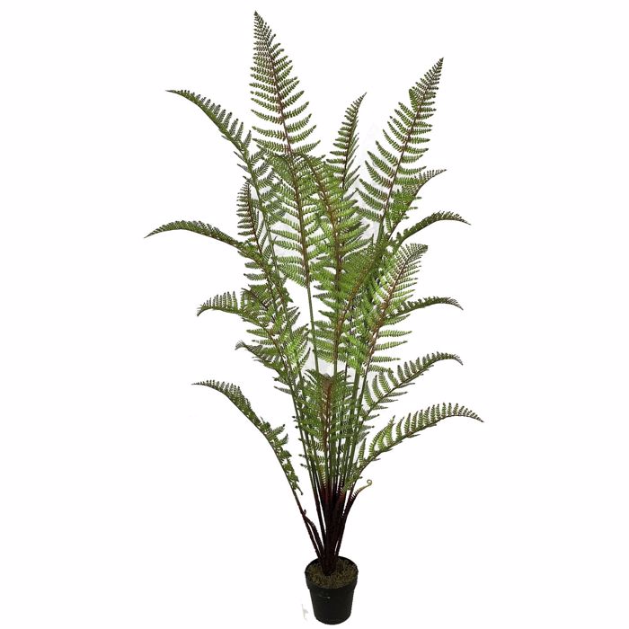 Supergreens Texnito Dentro Fteri 180cm 4450-6