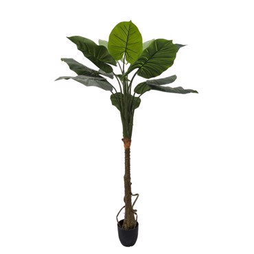 Supergreens Τεχνητό Δέντρο Αλοκάσια 150cm 4760-6