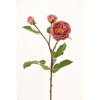 Supergreens Texnito Klonari Triantafullo Roz 61cm 5180-7