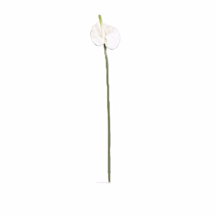 Supergreens Τεχνητό Κλωνάρι Ανθούριο Λευκό 66cm 5341-7 Supergreens Texnito Klonari Anthourio Lefko 66cm 5341-7
