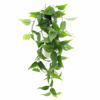 Supergreens Texnito Futo Fikos ''Coide'' Prasino 62cm 5591-7