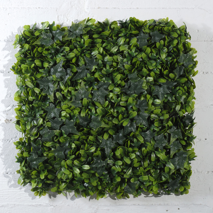 Supergreens Texniti Fullosia Kissos me Fiko 50x50cm 6031-7