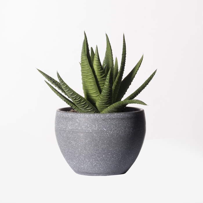 Supergreens Τεχνητό Φυτό Αλόη Aristata 14cm 6260-6 Supergreens Texnito Futo Aloi Aristata 14cm 6260-6