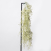 Supergreens Texniti Kremasti Tilansia Prasini Anoixti 83cm 6621-7