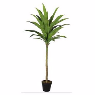 Supergreens Τεχνητό Δέντρο Δράκαινα 170cm 7130-6