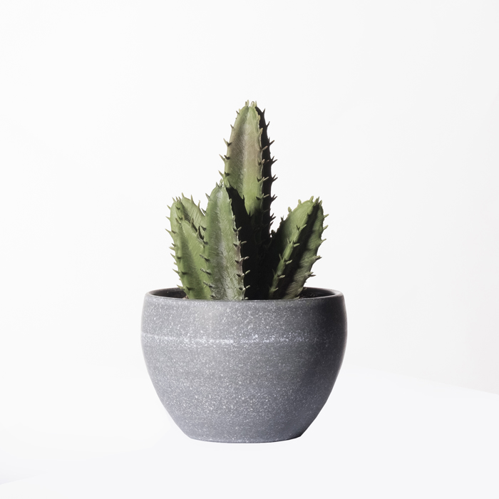 Supergreens Τεχνητό Φυτό Κακίλλα 17cm 7260-6 Supergreens Texnito Futo Kakilla 17cm 7260-6