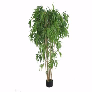 Supergreens Τεχνητό Δέντρο Μπαμπού Lagoon Πράσινο 183cm 7450-6