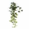 Supergreens Texnito Futo Paxira ''Monteria'' Prasino 62cm 7591-7