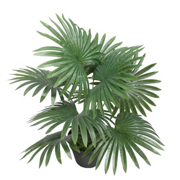 Supergreens Τεχνητό Φυτό σε Γλάστρα Φοίνικας Washingtonia Πράσινο 48cm 8001-6