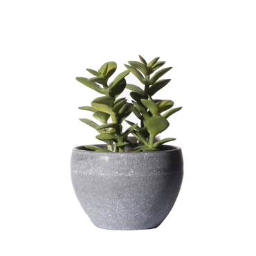 Supergreens Τεχνητό Φυτό Κρασούλα 13cm 8260-6