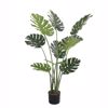 Supergreens Texnito Dentro Monstera 120cm 8450-6