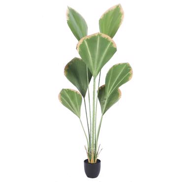 Supergreens Τεχνητό Δέντρο Λικουάλα Πράσινο 160 εκ. 8701-6