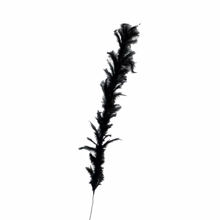 Supergreens Τεχνητό Κλαδί Φτερό Μαύρο 120cm 8780-7 Supergreens Texnito Kladi Ftero Mavro 120cm 8780-7