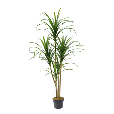 Supergreens Τεχνητό Δέντρο Δράκαινα ''Anita''  150cm 9280-6