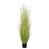 Supergreens Texnito Futo Stipa ''Zebra'' Prasino 170cm 9390-6