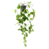 Supergreens Texnito Futo Pothos Panase Prasino 63cm 9591-7