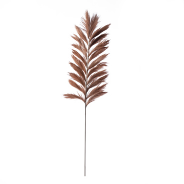 Supergreens Τεχνητό Κλαδί Pampas ''Pilosa'' Καφέ 120cm 8081-7